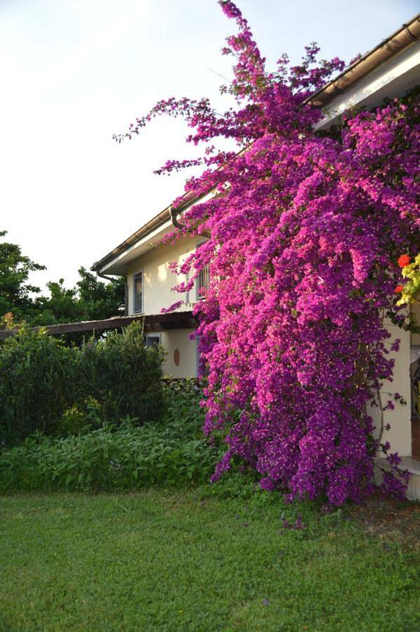 Ferienwohnung für 4 Personen, mit Terrasse und Garten sowie Pool in Fara in Sabina - 4