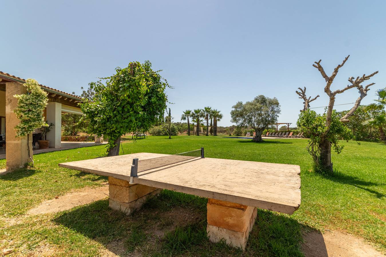 Saperla, Finca 5Starshome Mallorca in Petra, Mallorca Binnenland
