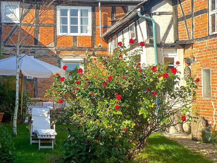 Ferienwohnung für 4 Personen, mit Terrasse in Wendland - 4