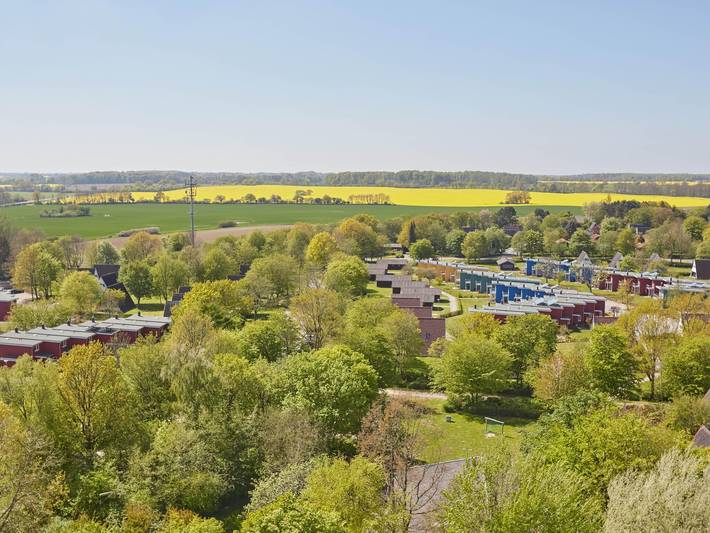Ferienhaus für 4 Personen, mit Terrasse, mit Haustier in Damp - 4