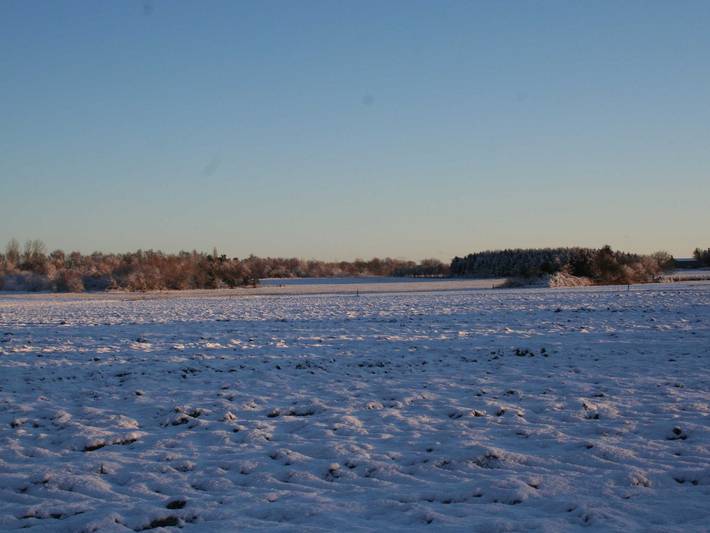 Ferienwohnung für 2 Personen, mit Terrasse in Wustrow - 3