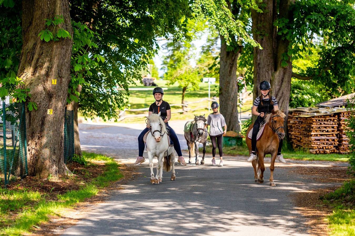 Ganze Ferienwohnung, Ferienhof Domäne Groschwitz Ferienwohnung 22 in Rudolstadt, Saaleland