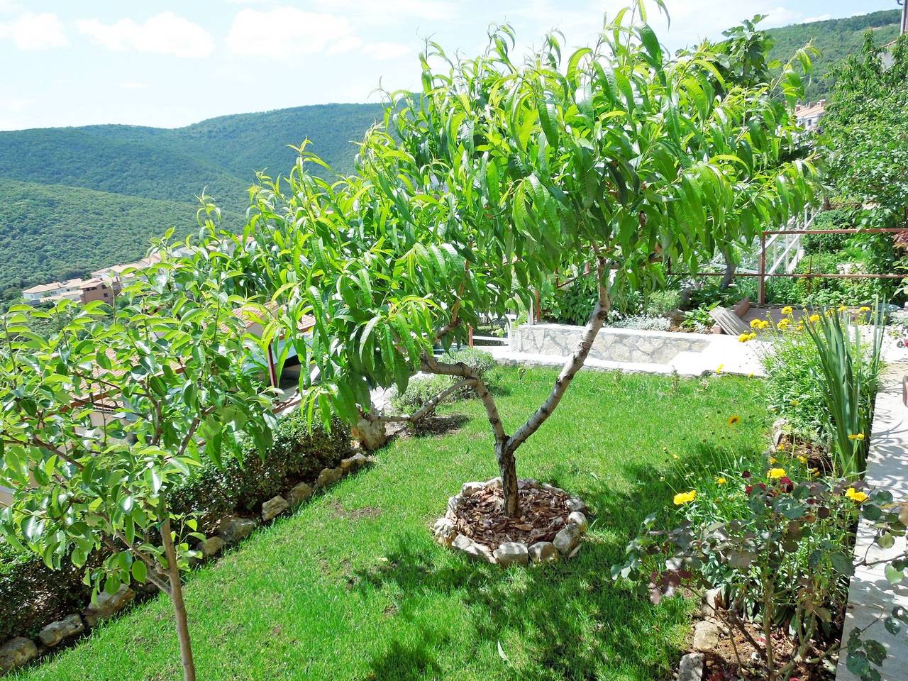 Apartamento entero, Apartments Elide in Rabac, Labin-Rabac