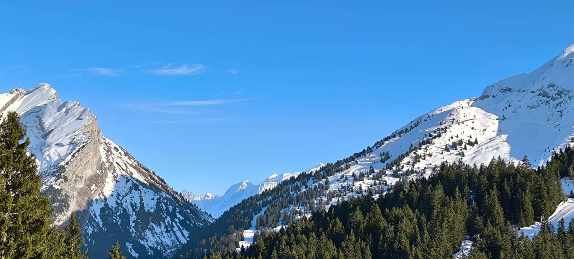 Apartamento vacacional entero, Slow Chalet Tilleuls with mountain view – near ski slopes & hiking 5 pers in Manigod, Región de Annecy