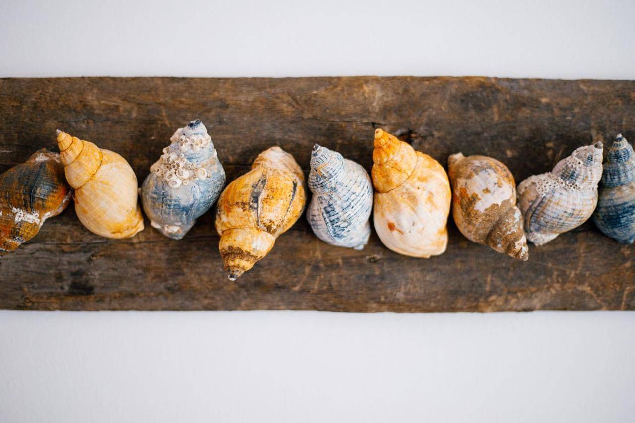 Pension Mai-Scholle in Borkum