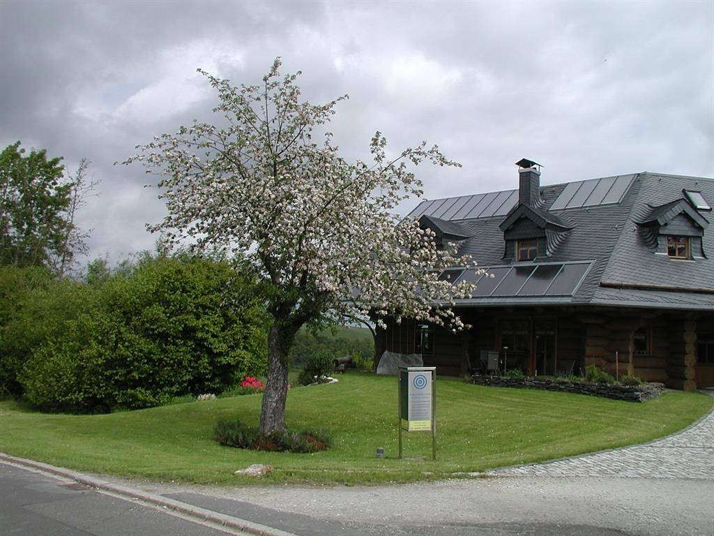 Geheel vakantieappartement, Appartement, toilet en bad/douche gescheiden, geschikt voor rolstoelen in Deuselbach, Bernkastel-Kues en Omgeving