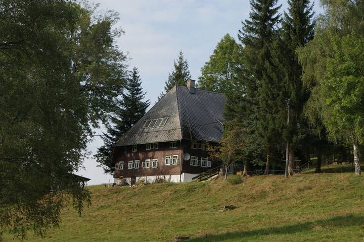 Ferienwohnung für 2 Personen, mit Balkon/Terrasse und Terrasse sowie Garten in Triberg - 2