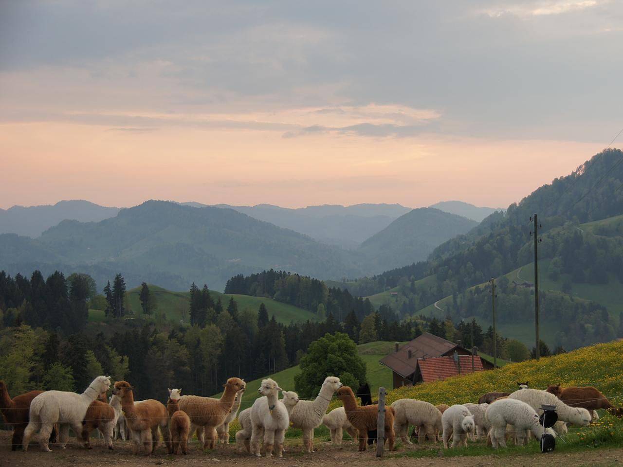 Apartamento De Vacaciones para 4 Personas en Neckertal, Cantón de San Galo
