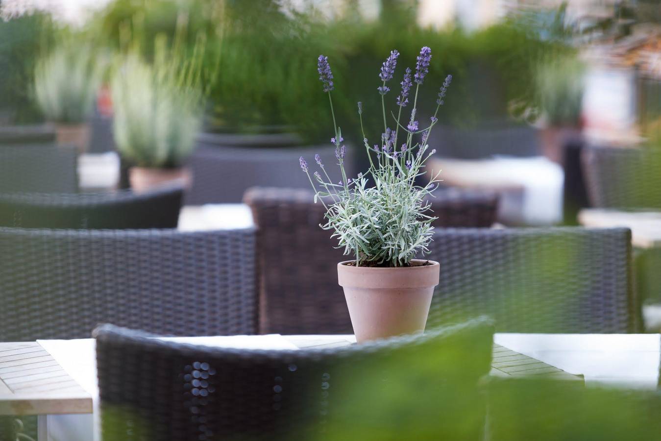 Dreibettzimmer in Südoststeiermark, Feldbach