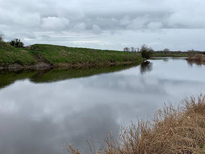 Holiday apartment for 4 people, with pets in Leinster