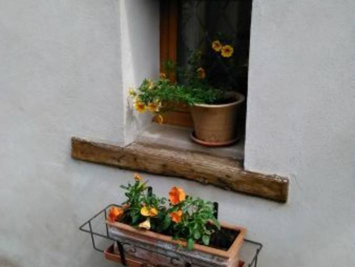 Gîte für 4 Personen, mit Terrasse in Lothringen - 3