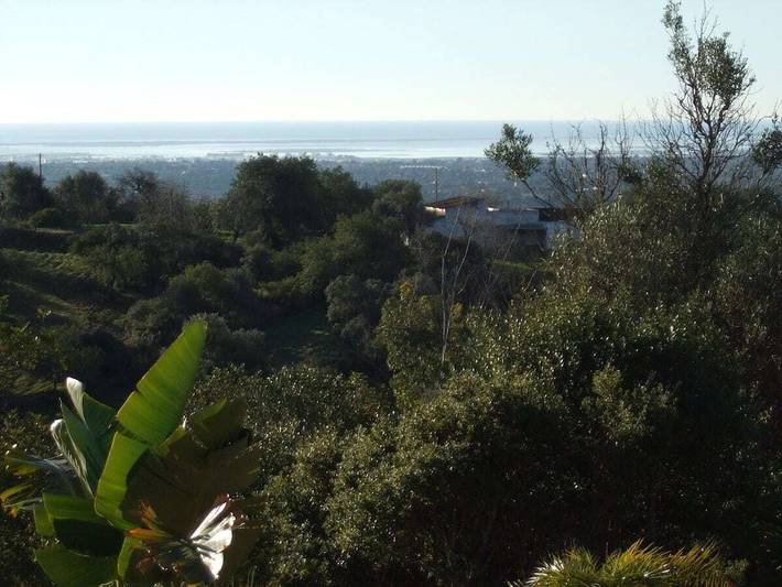 Ferienhaus für 4 Personen, mit Terrasse und Pool sowie Garten in Faro - 4