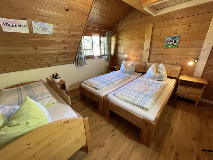 Ferienwohnung für 5 Personen, mit Garten und Balkon in Titisee-Neustadt - 3