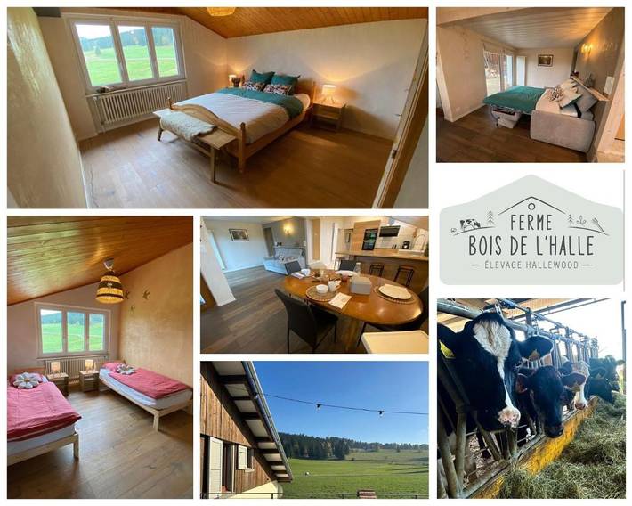 Gîte pour 6 personnes, avec Terrasse ainsi que Jardin et Vue dans La Brévine