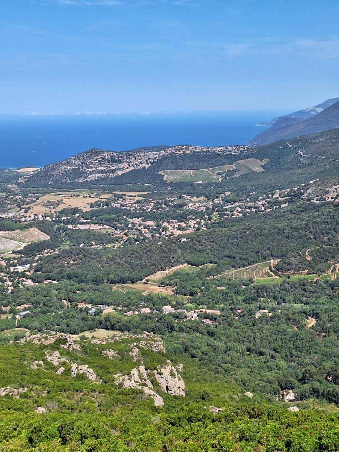 Gîte pour 4 personnes, avec piscine et terrasse, animaux acceptés à Barbaggio - 4