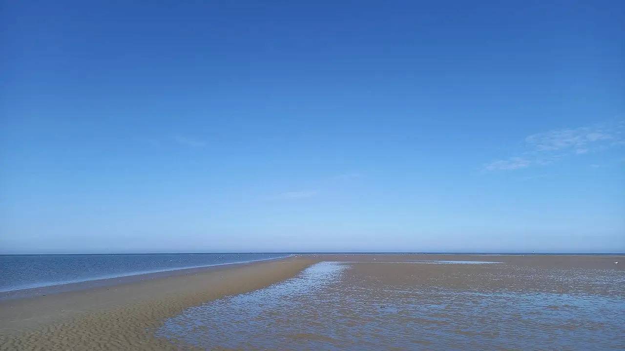 Ferienhaus für 18 Personen (260 m²) in Fanø in Sønderho, Wadden Sea National Park