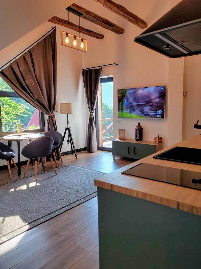 Gîte pour 4 personnes, avec jardin et vue à Sinaia - 3