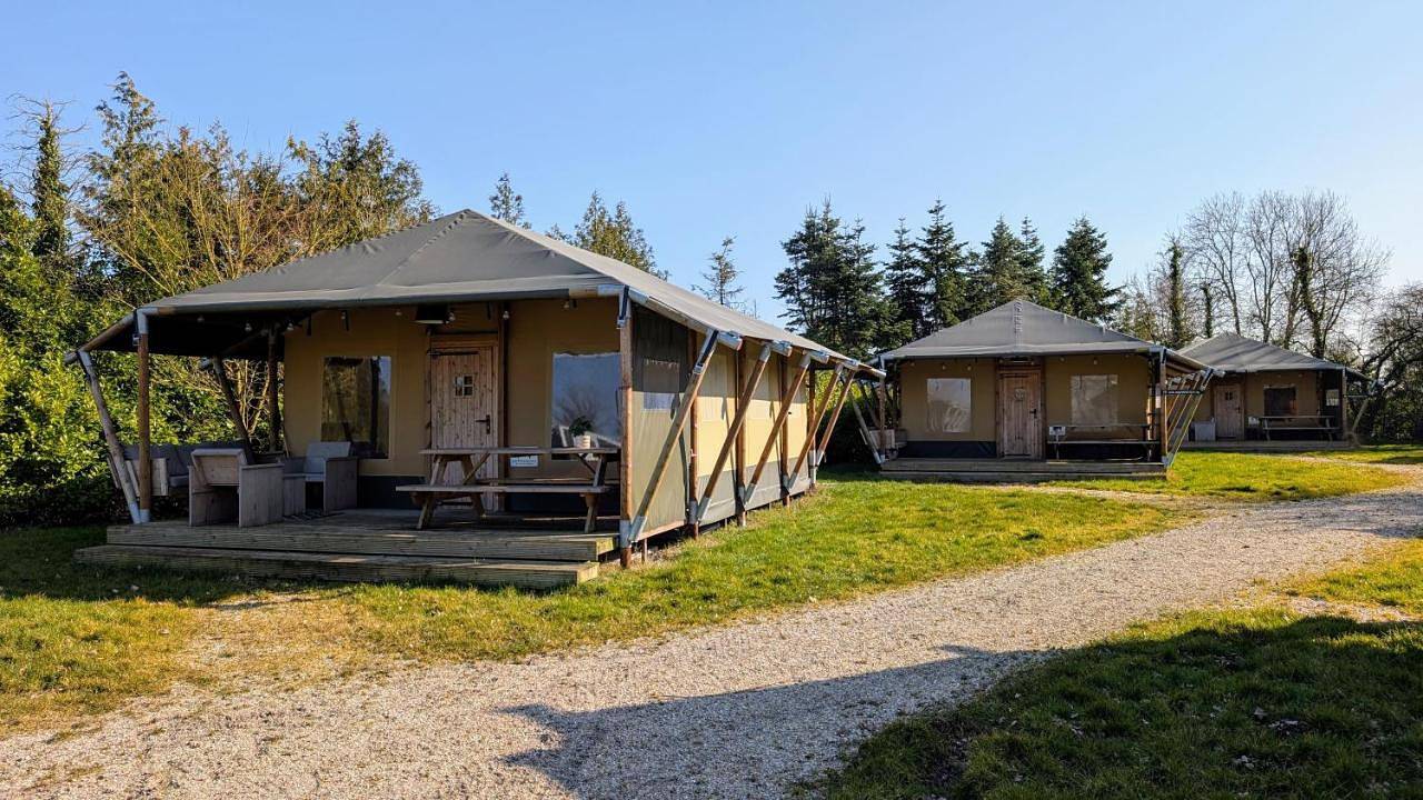 Luxe Safaritent in Grou in Nationaal Park De Alde Feanen
