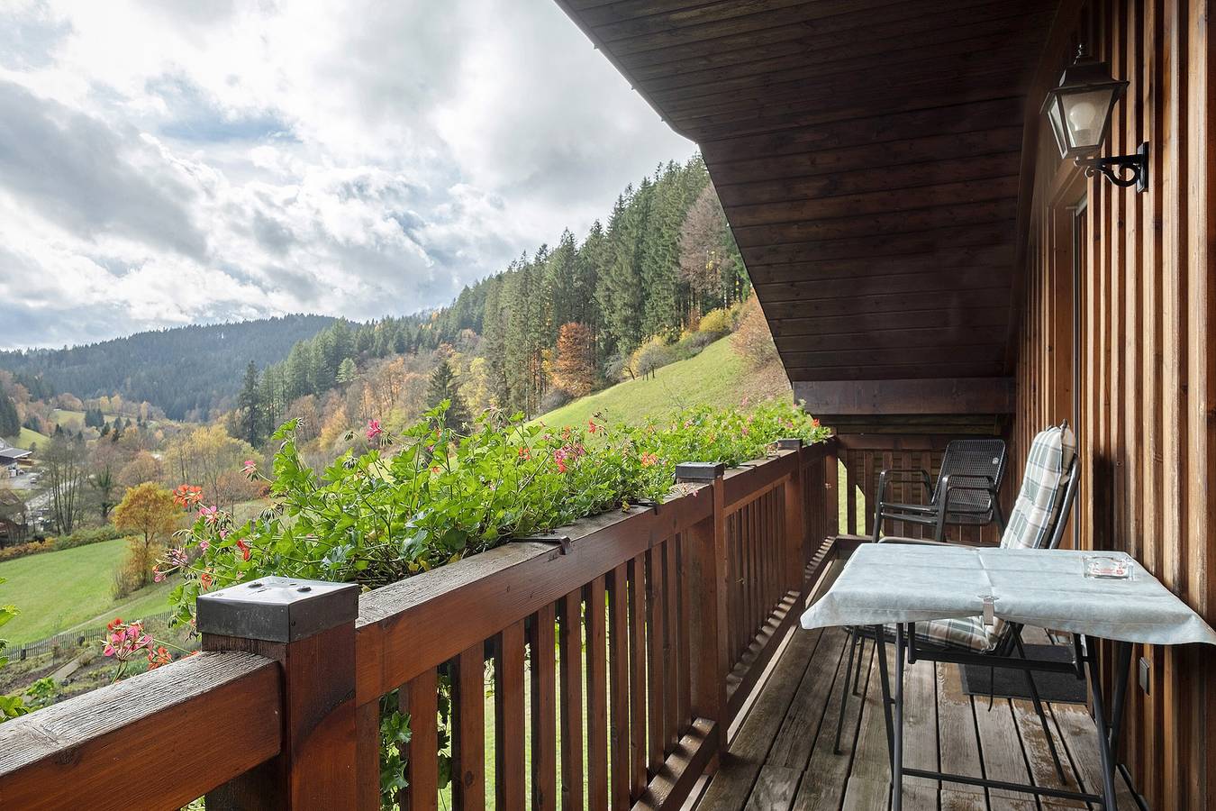 Ganze Wohnung, Ferienwohnung 'Talblick' mit Gemeinschaftsgarten, Balkon und Wi-Fi in Bad Rippoldsau-Schapbach, Mittlerer Schwarzwald