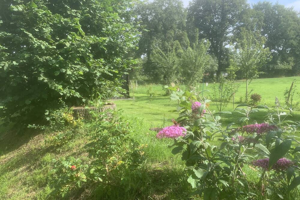 Modernisierte Bauernhaus in der Nähe von Oldenburg mit einem schönen Garten auf dem Lande — Bild 5