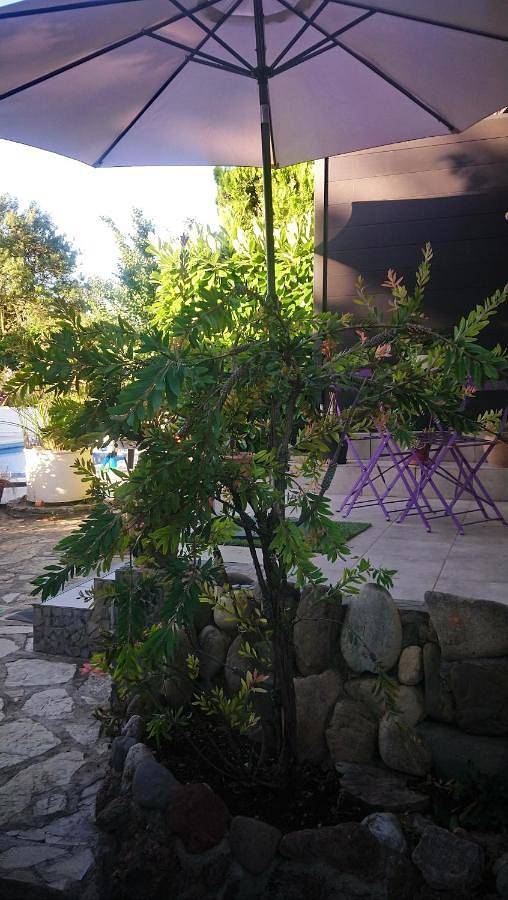 Appartement entier, Charmant studio entre Terre et Mer avec piscine in Montady, Côte d'Améthyste