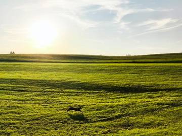 Ferienwohnung für 2 Personen in Waltenhofen