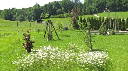 Bauernhof für 2 Personen in Aschau im Chiemgau, Bayerische Alpen, Bild 4