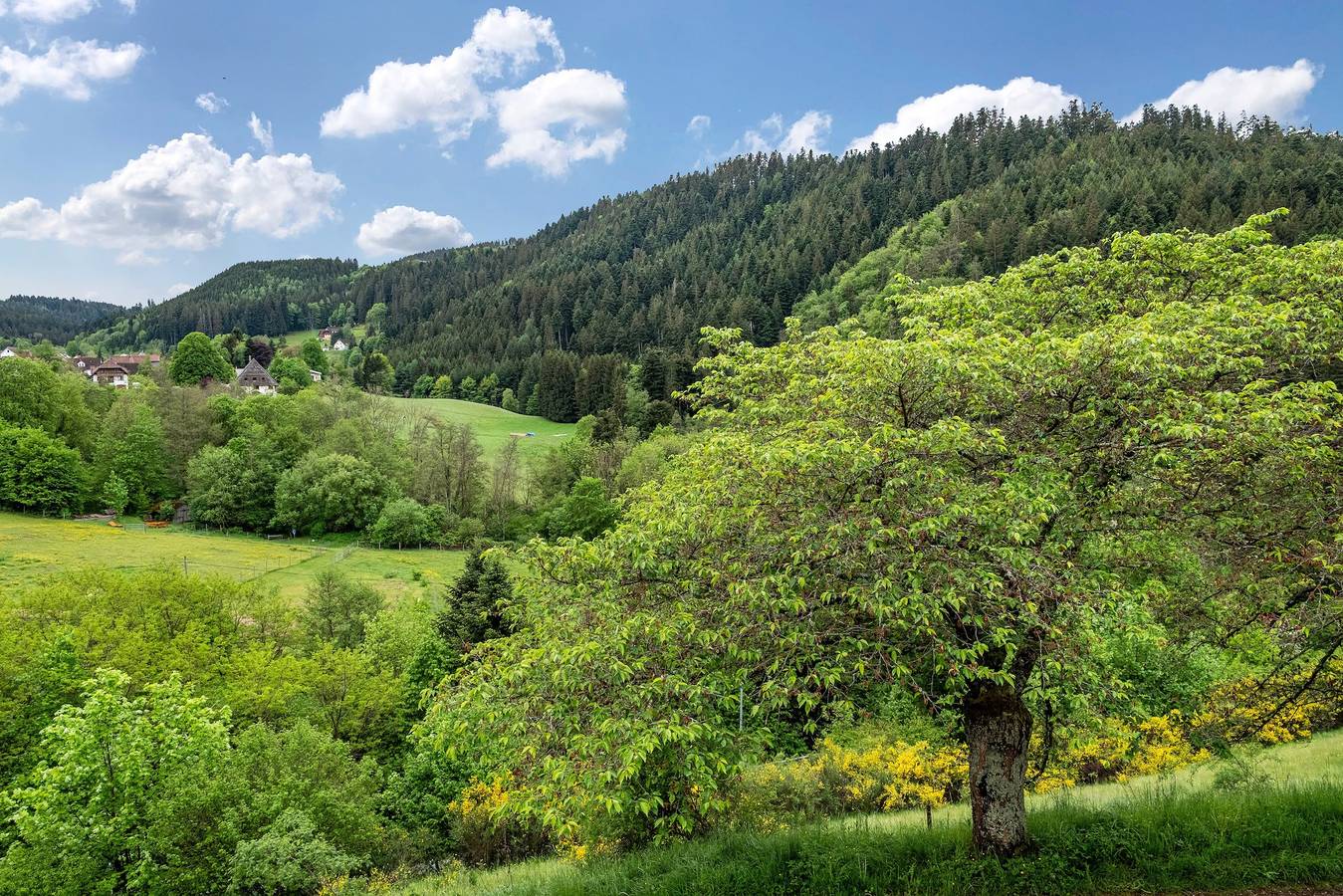 Ganze Wohnung, Ferienwohnung Schrödter mit Bergblick, privater Terrasse und Wlan in Schramberg, Mittlerer Schwarzwald