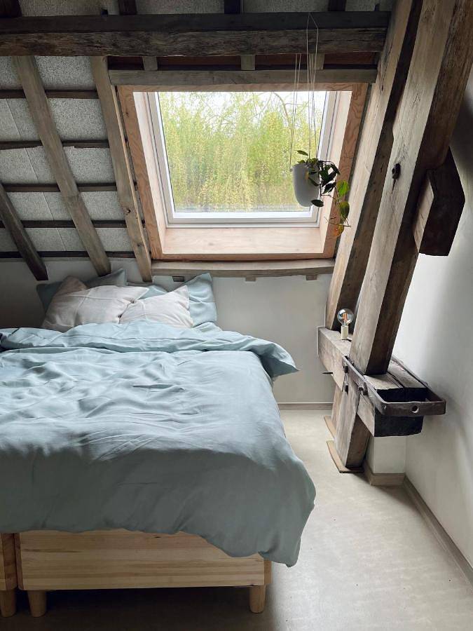 Location de vacances pour 12 personnes, avec terrasse, adapté aux familles à Zele - 2