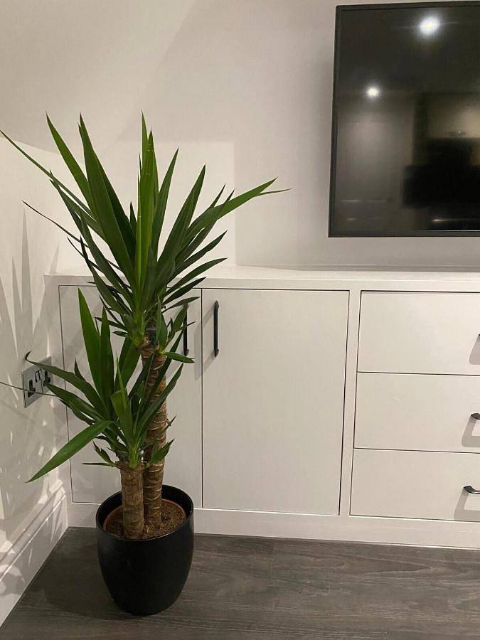Gîte pour 4 personnes, avec terrasse et vue, animaux acceptés dans Saint-Hélier - 2