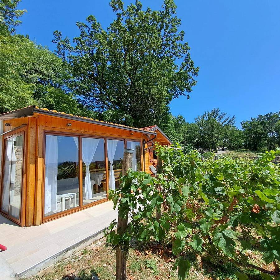 Vineyard house in Grizane, Primorje-Gorski Kotar