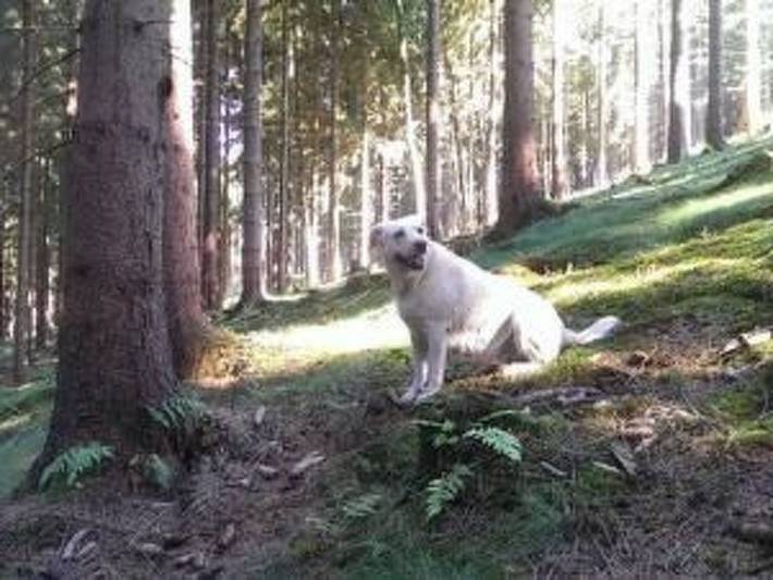 Ferienhaus für 2 Personen, mit Garten