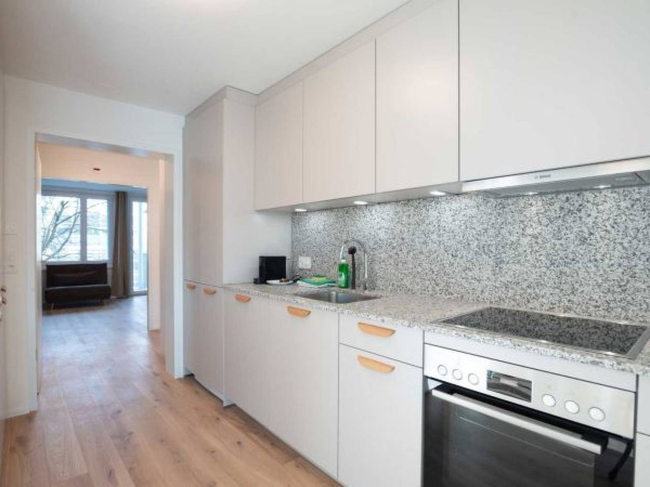 Appartement entier, Appartement de vacances pour 5 personnes in Zurich, District de Zurich