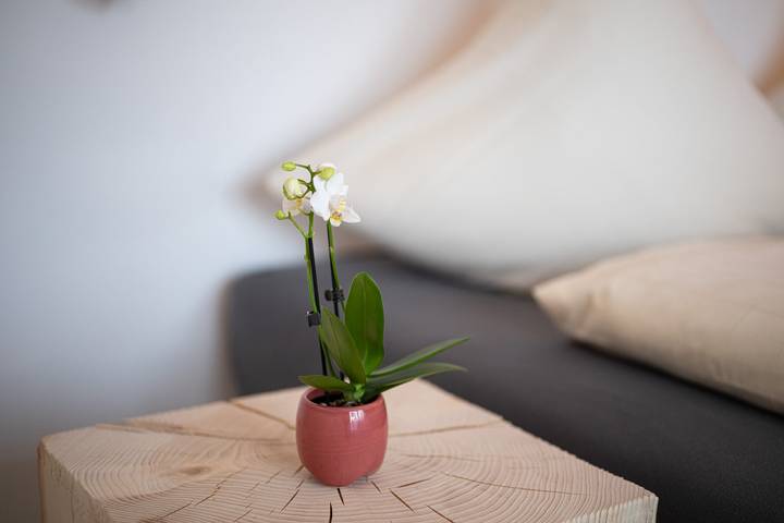 Ferienwohnung für 2 Personen, mit Terrasse und Sauna, mit Haustier in Oberstdorf - 4