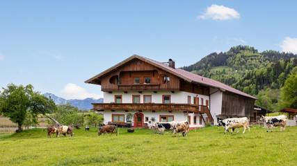 Hütte für 8 Personen, mit Garten und Terrasse, mit Haustier in Walchsee