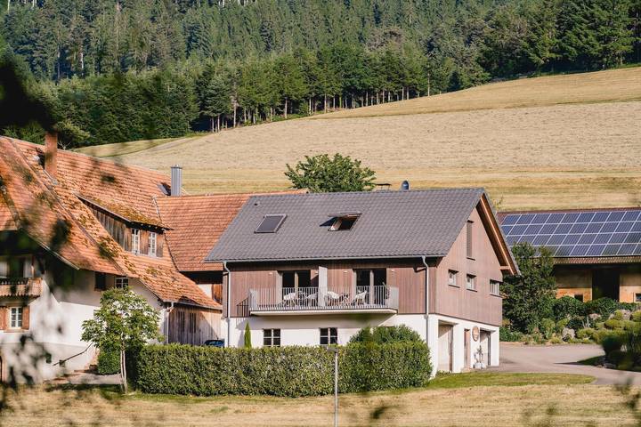 Ferienwohnung für 2 Personen, mit Balkon und Ausblick in Hofstetten - 4