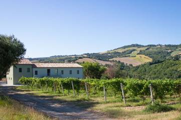 Casa Vacanza per 6 Persone in Cupramontana, Provincia di Ancona, Foto 4