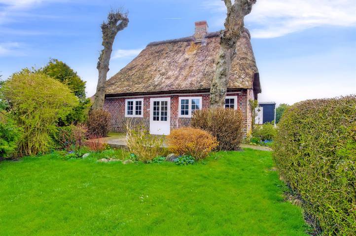Ferienhaus für 5 Personen, mit Terrasse, mit Haustier in Højer