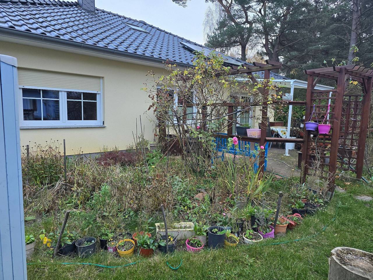 Ferienhaus 1 Wiesenperle in Trassenheide, Usedomer Norden