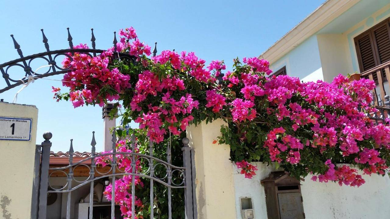 Double or Twin Room with External Bathroom in Mandas, Province de Cagliari