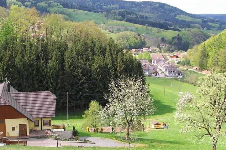Ferienwohnung für 4 Personen, mit Garten in Schuttertal - 2