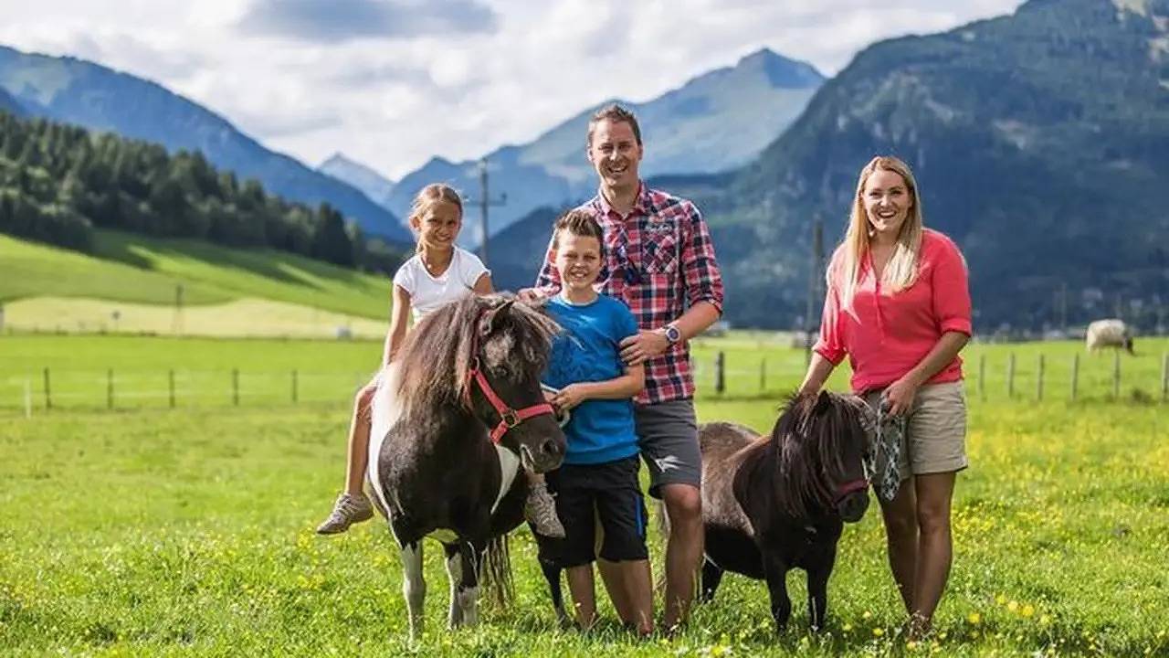 Ganze Ferienwohnung, Ferienwohnung für 4 Personen (60 m²) in Mauterndorf in Mauterndorf, Bundesland Salzburg