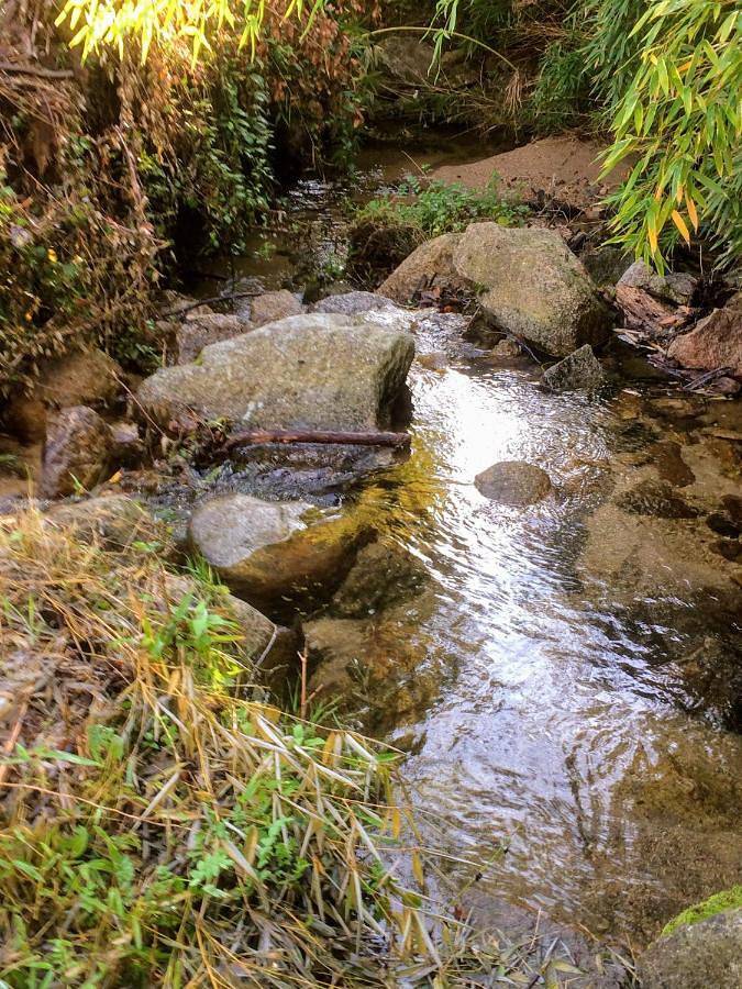Gîte pour 6 personnes, avec vue ainsi que jardin et piscine à Petreto-Bicchisano - 4