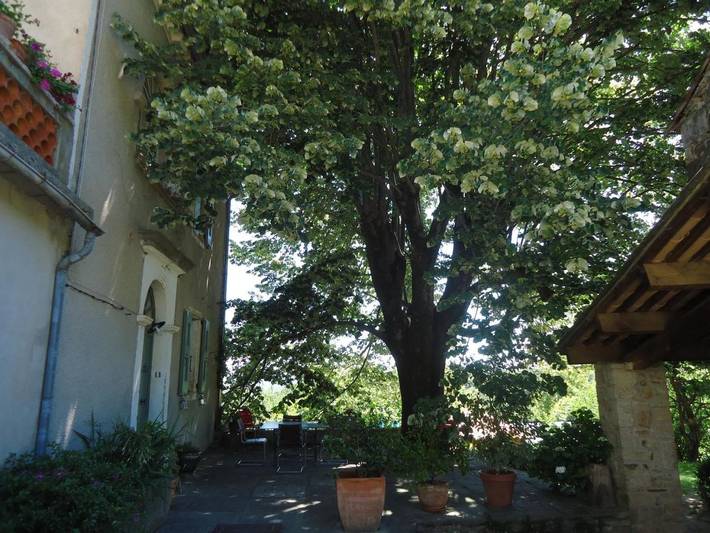 Chambre d’hôte pour 3 personnes, avec Terrasse ainsi que Jardin et Vue à Banne - 3