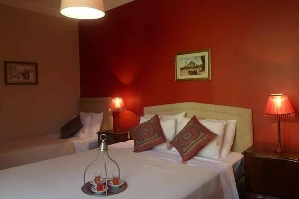 Entire apartment, 3 Double Bedroom, Right Next to Blue Mosque, on Akbiyik Street in Fatih, Istanbul