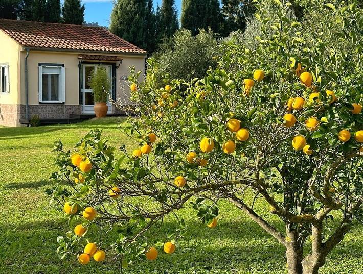 Casa para 2 personas, con terraza y jardín en Andalucía