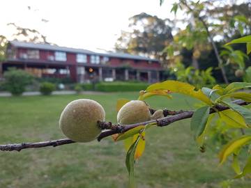 Cottage for 20 People in New South Wales, Australia, Photo 3