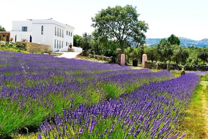 Casa de vacaciones para 2 personas, con jardín además de vistas y piscina en Alentejo - 2