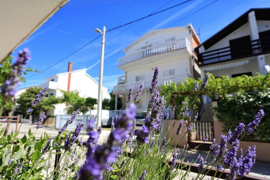 Entire apartment, Studio flat near beach Bibinje, Zadar As-25132-a in Bibinje, Zadar