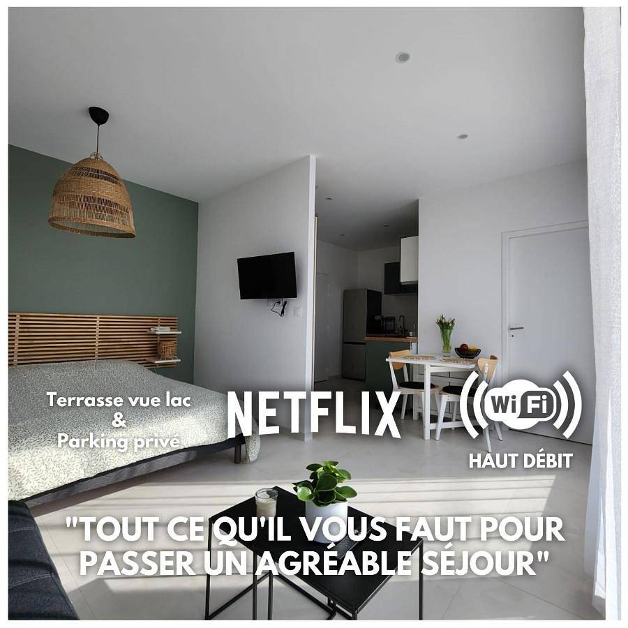 Appartement entier, Studio Apartment with One Double Bed in Lugrin, Région de Thonon-les-Bains